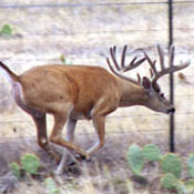 Guide Photo