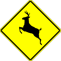 Guide Photo